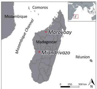 Figure 3. Location map of the 2 study sites in  Madagascar, Miandrivazo and Marovoay.  