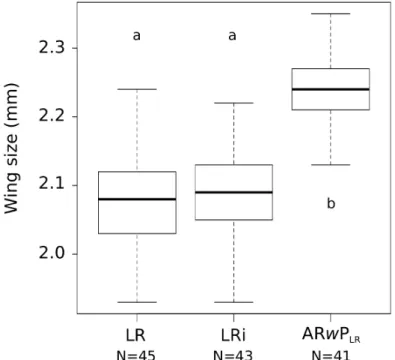 Fig 1. Wing size of males. LR = wild type males, LRi = wild type irradiated males and ARwP LR = incompatible males