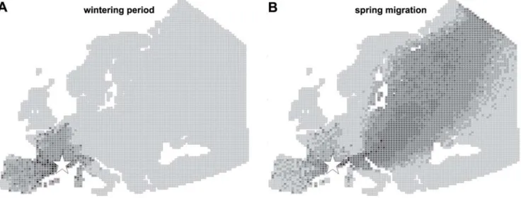 Figure 1. Simulations of Common Teal movements in Europe, from the Camargue, South of France (white star)