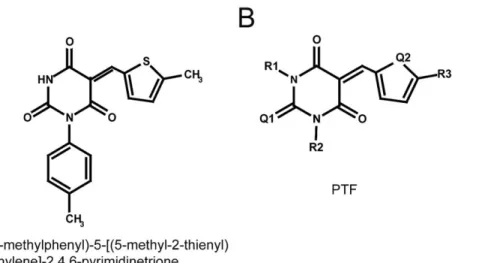 Figure 1. Structures of the hit compound (A) and active analogs (B). R 1 is a hydrogen atom or a methyl group, R 2 , a methyl group or a substituted aryl group, R 3 , mostly oxygen or sulfur atoms, except for two compounds having a N atom or a substituted 