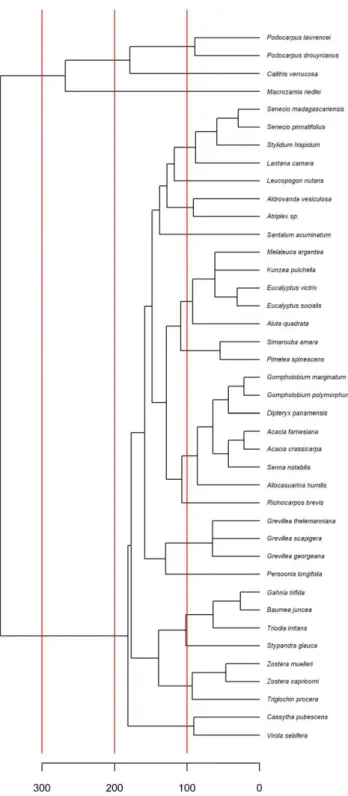 Figure 2. Phylogenetic tree of the plant species studied. The cutoff limits used for autocorrelation analyses of microsatellite coverage are indicated in red.