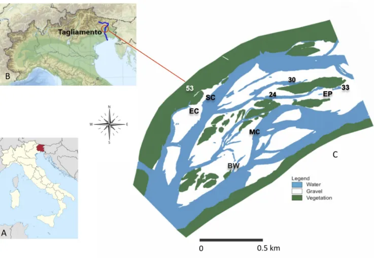 Fig 1. Map of the study area. (A) Map of the Trentino-Alto Adige region. (B) The Tagliamento river