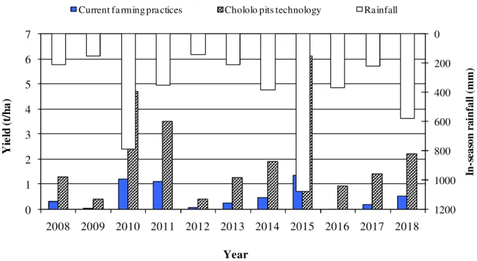 Figure 2. Maize yield variation under current and chololo pits or planting basins crop management practice