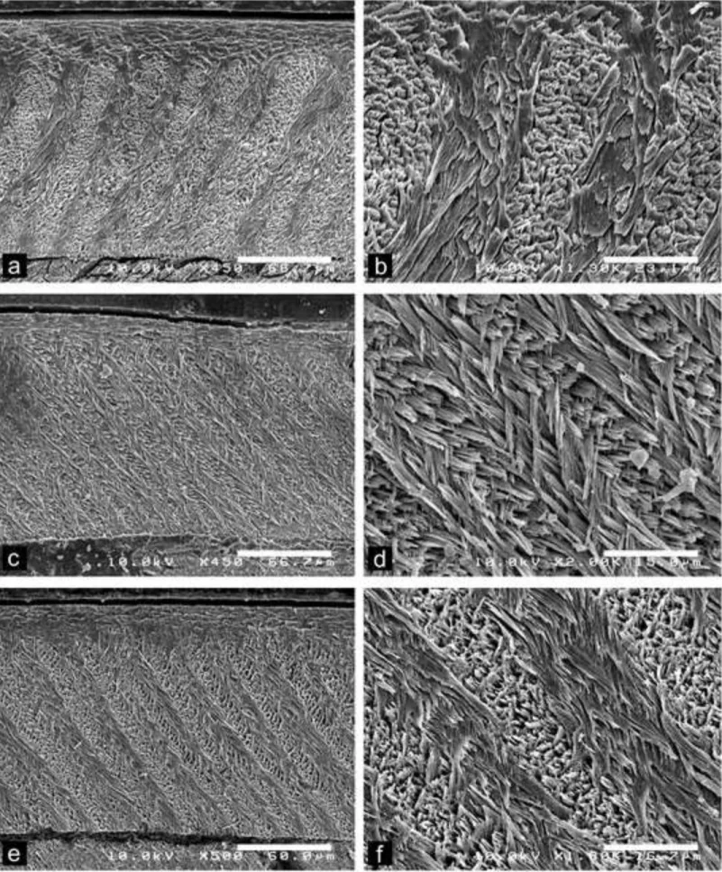 Figure 7 Click here to download Figure Fig.7-ARG-Multi-Lower-Inc.tif 