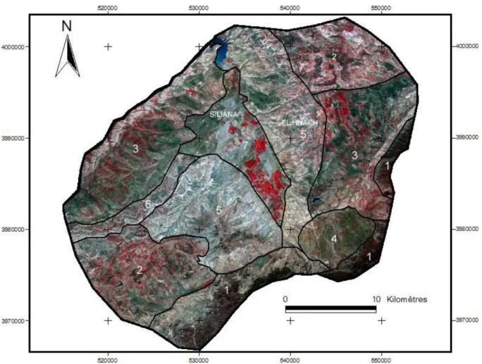 Figure 1 : Délimitation approximative des régions du bassin-versant de Siliana à partir de l’analyse d’une image  satellite de type Aster (résolution 15mètres) 