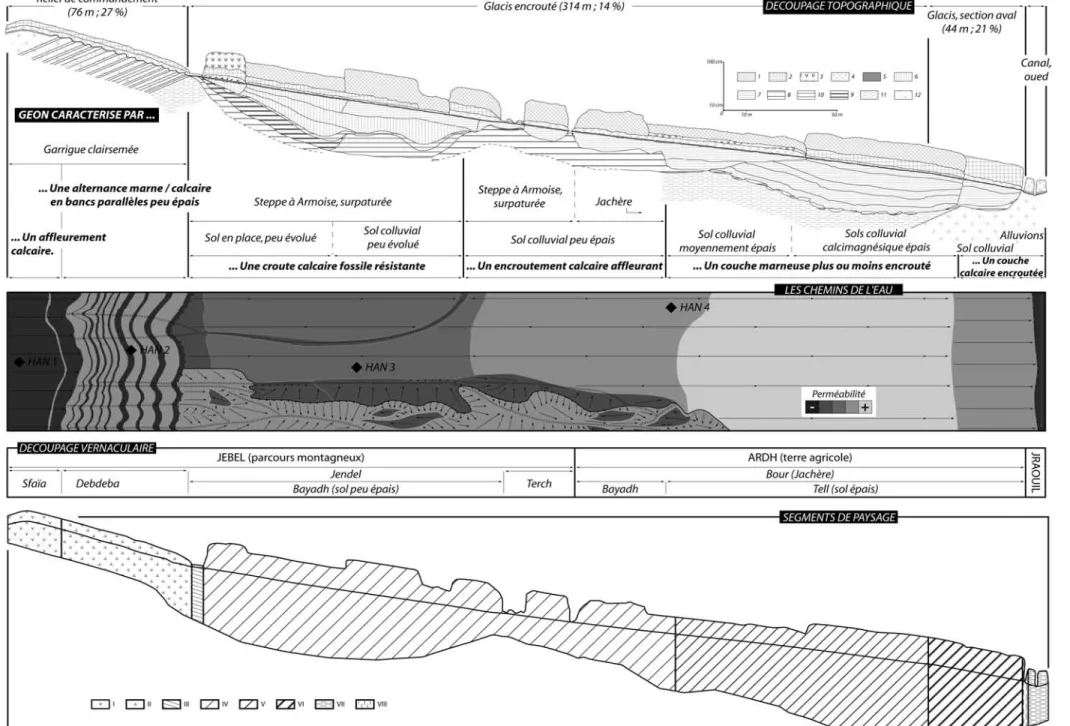 Figure 2 : Segmentation du paysage le long d’une toposéquence. 