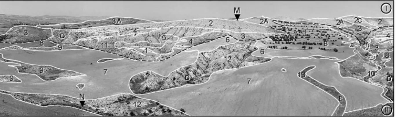 Figure 3 : paysage d’El Hnach, découpage vernaculaire 