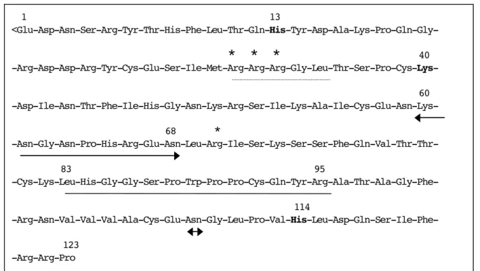 Figure  1.  Séquence  protéique  de  l’angiogénine  humaine.  Les  résidus  du  site  actif  His-13,  Lys-40,  et  His-114  sont  en  caractères  gras