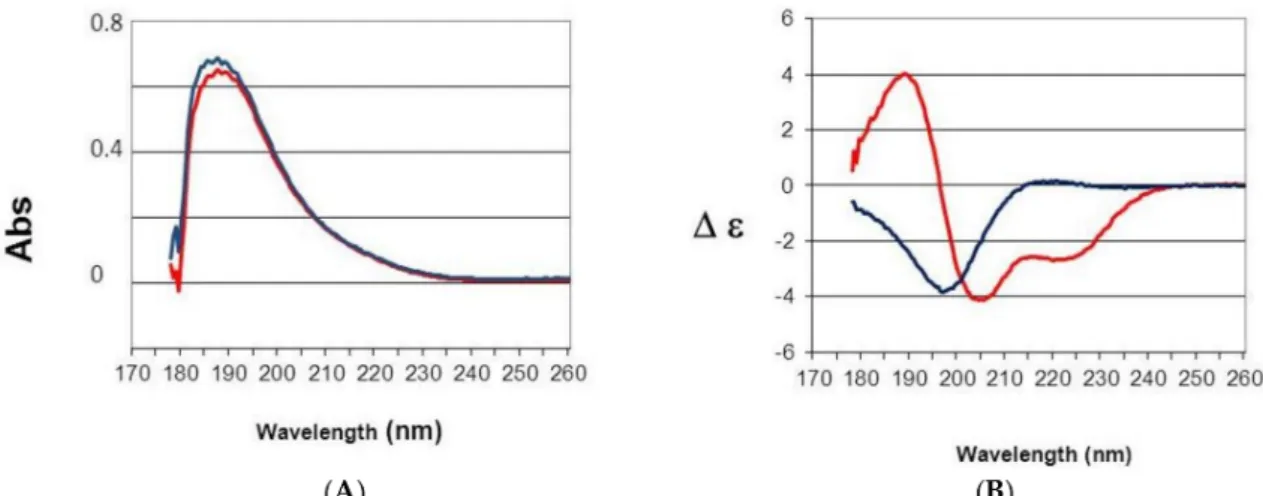 Figure 6. Far UV (178–260 nm) absorbance (A); and circular dichroism (B) spectra of AS2 (Blue) and the 28-min fraction (red)