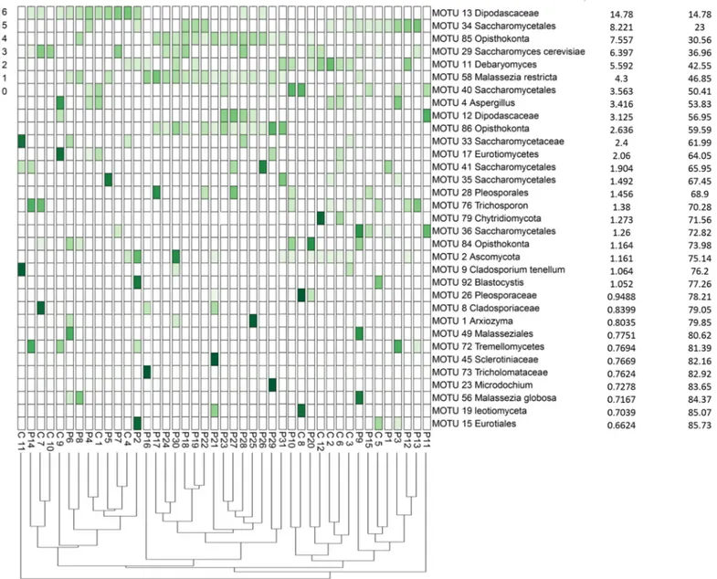 Fig 2. The distribution of the major eukaryotic MOTUs detected in the fecal samples of HIV-infected patients and healthy subjects using cloning and sequencing methods