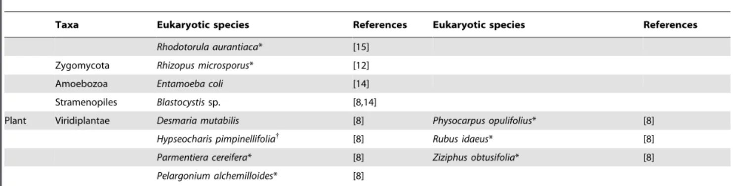 Table 2. Comparison of the cultured fungi identified by both MALDI-TOF MS and direct ITS sequencing.
