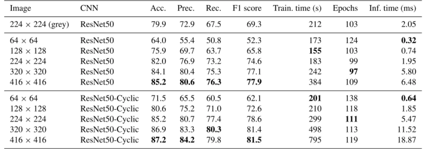 Table 2. Results of training on the Endless Forams training set (colour) using the best-performing transfer learning network with and without cyclic layers – and for different input image sizes