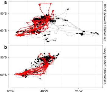 Fig. 3    Examples of repeated trips by one individual contrasted with  those of other individuals in the dataset: a BBA; b GHA