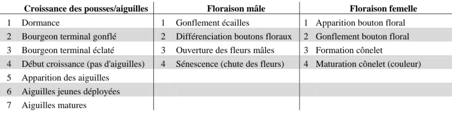 Tableau n°2: phases de développement et de sénescence des organes du pin d'Al B