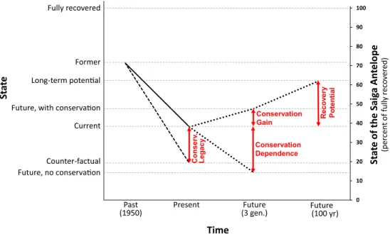 Figure 1. Conservation metrics (vertical arrows) expressed as differences in the species’ recovery states (left axis) (solid line, observed change in state of the species; dashed line, past change expected in the absence of past conservation efforts [count