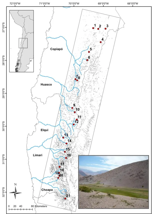 Figure 2. Picture of a high altitude wetland and geographical distribution of the sampling 651 