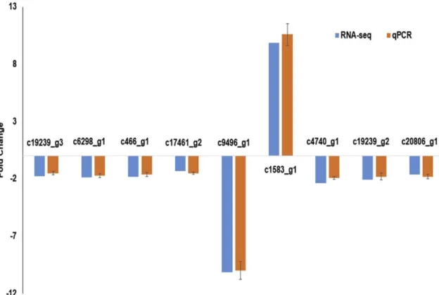 Fig. 6. Comparison of the expressions of RNA-Seq and qRT-PCR results. The transcript expression levels  of the selected genes were each normalized to that of the β-actin gene