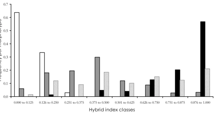 Figure 4 : Distribution of hybrid index per morphotype. DM individuals figure in white (69 individuals); IM in grey (184 individuals); 