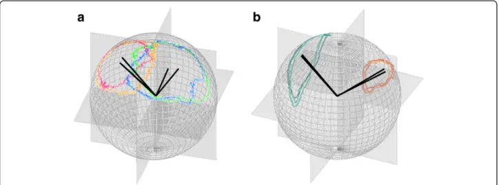 Fig. 8 The specific m-prints of (a) the ring created by a complete turn of the Himalayan vulture during thermal soaring (40 Hz tag attached with leg loop harness and equipped in France, see [53]) and (b) the ellipse mapped by a front-crawl double arm strok