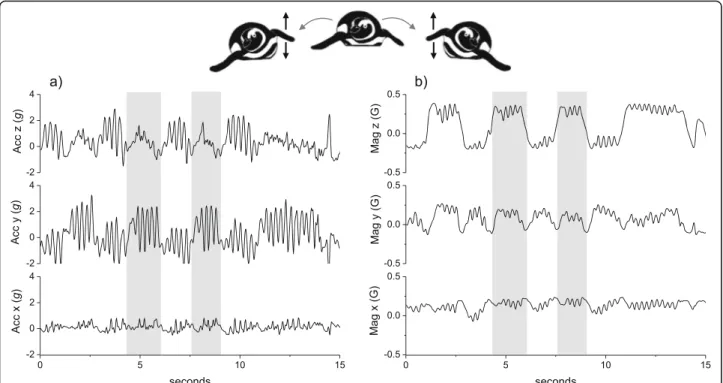 Fig. 3 A time series plot of 40 Hz tri-axial acceleration data (a) with its associated tri-axial magnetometry data (b) of a washing Magellanic penguin (Spheniscus magellanicus) (equipped in Argentina cf