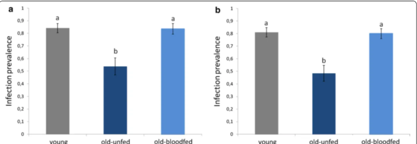 Fig. 4  Mean oocyst burden (NB oocysts across mosquitoes containing ≥1 oocyst) in young (7-day old mosquitoes) and in old (17-day old) mosqui- mosqui-toes that were either allowed a previous uninfected blood meal (old-blood fed) or not