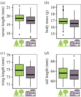 Figure 1. Morphological divergence between forest (green) and urban ( purple) great tits for (a) tarsus length, (b) body mass, (c) wing length and (d) tail length