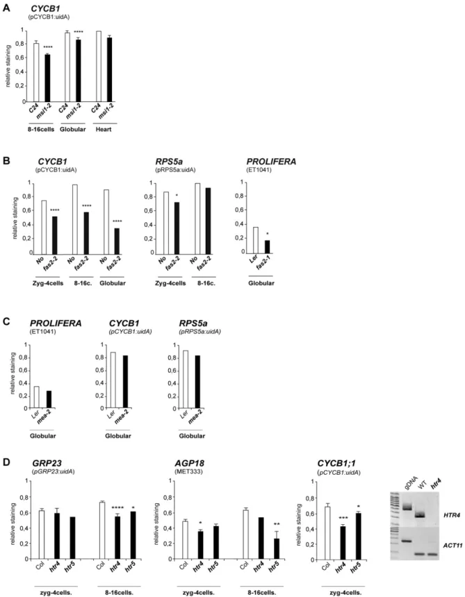 Figure S7. Maternal MSI1 and FAS2, but not MEA , Control the Activation of Paternally Transmitted Markers and Require Maternal H3.3 Variants, Related to Figure 7