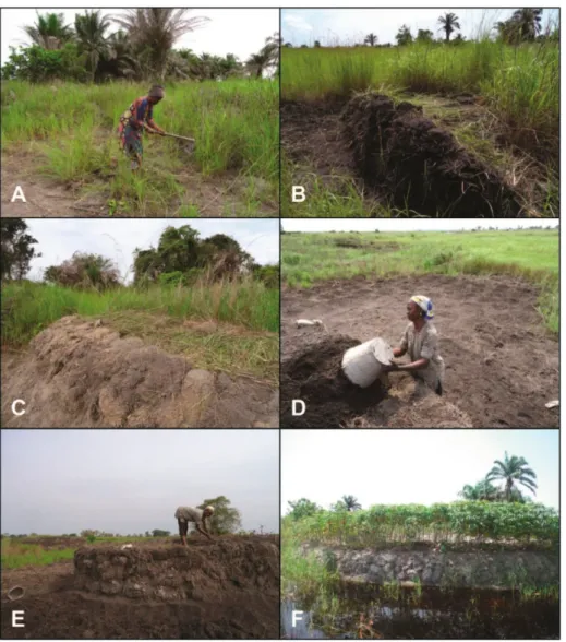 Figure 4. Construction of RF in the floodplain around Mossaka. (A) Grass and soil clumps are hoed from the area surrounding the new field; (B,C) Root-bound soil clumps are oriented outward, the grass tops are oriented inward; (D) Vegetation-free topsoil is