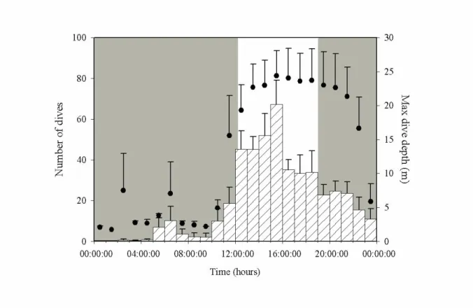 Figure 2. Average number of dives (     ) and maximum depth reach for any dive (    ) recorded at each  hour  of  day  during  winter  (December-January)  (±SE)