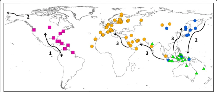 Fig. 7 Geographical distribution of the four haplogroups of Pandion haliaetus. Symbols and colours indicate both sample locations and genetic group: violet squares for AMER, orange circles for EUR-AFR, blue stars for ASIA and green triangles for IND-AUS (s