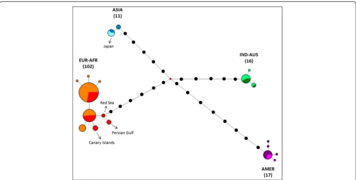 Fig. 3 Phylogenetic network of Osprey based on 146 individuals and 661 pb of the cyt b