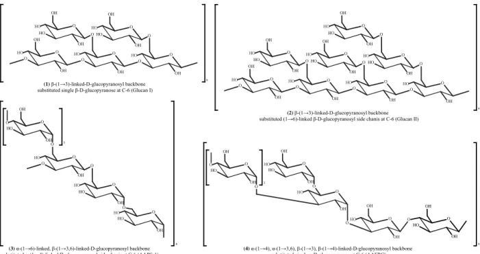 Figure 2 – Chemical structures of various types of homopolysaccharides from Auricularia spp