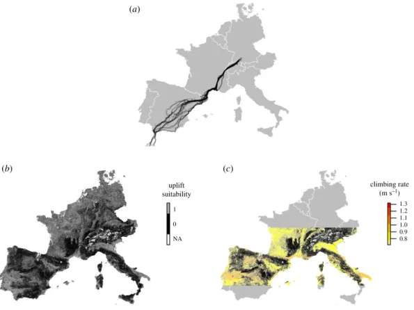 Figure 1. Spatial coverage of the white storks’ migration routes, relative to the extent of the environmental layers included in the model