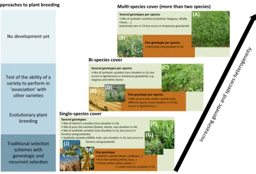 Figure 1. Different Levels of Species and Genetic Diversity within Agronomic Covers Used in Conventional Agriculture (CA) and their Related Plant-Breeding Approach
