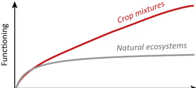 Figure 3. Hypothetical Genetic Het- Het-erogeneity Functional Relations in Natural Ecosystems (Gray) and Crop Mixtures (Red)
