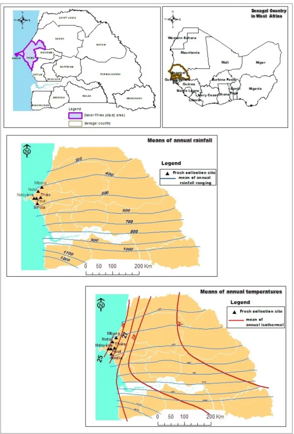 Figure 1: Maps presenting Senegal in West Africa (topright), the “Niayes”: (Mboro, Noto and Ndoyène   localities)   and   “Plateau   de   Thiès”:   (Thiès,   Pout   and   Sindia   localities),   two agroecosystems zones in Senegal where fresh collection of