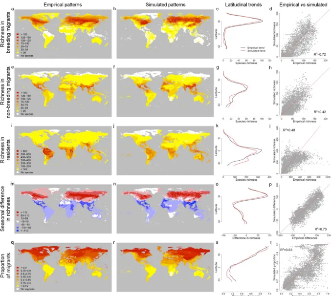 Figure  2:  Contrast  between  empirical  patterns  in  the  global  spatial  distribution  of  terrestrial  birds  across  seasons  and  the  same  patterns  simulated  through  the  overall  best-fit  model