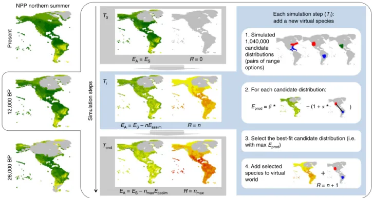 Fig. 1 Model description. The SEDS model was applied to each time slice of a climate reconstruction from present to 50,000 before present (BP); i.e., every 1000 years from present to 22,000 BP and every 2000 years before 22,000 BP