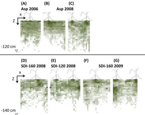 Figure 2: Observed root density profiles of Asp (A, B, C) and SDI (D, E, F, G) maize plots