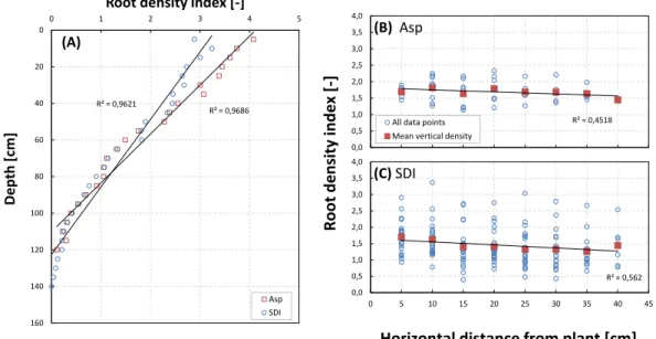 Figure 3: The mean horizontal root density distribution (A) for both Asp and SDI maize plots, and the mean vertical root density of Asp (B) and SDI (C).