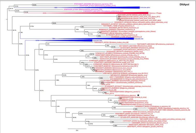FIGURE 3 | DNA polymerase phylogenetic tree. The DNA polymerase tree was built by using aligned protein sequences from Megavirales (red), Bacteria (green), Archaea (pink), and Eukarya (blue)