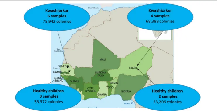 FIGURE 1 | Sample repartition according to geographic origin. Four samples were collected from patients with kwashiorkor in Niger while six samples were collected from patients with kwashiorkor in Senegal
