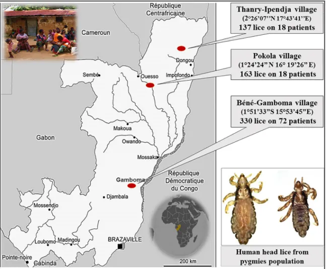 Fig 1. Map of head lice collection in the pygmy population from Congo-Brazzaville.