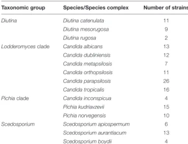 TABLE 2 | Number of fungal strains with primary and secondary barcodes present in the ISHAM Barcoding Database analyzed in this study.