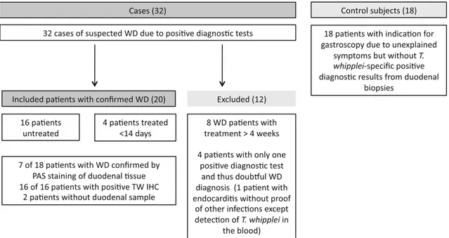 Fig. 1 Details of the analysed cohort with excluded cases, confirmed Whipple disease, and control subjects