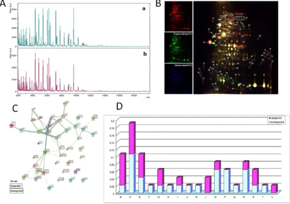 Figure 7.  Proteomics of Y. pestis exposed to 150 g/L NaCl: (A): MALDI-TOF mass spectrometry (a: control; b: 