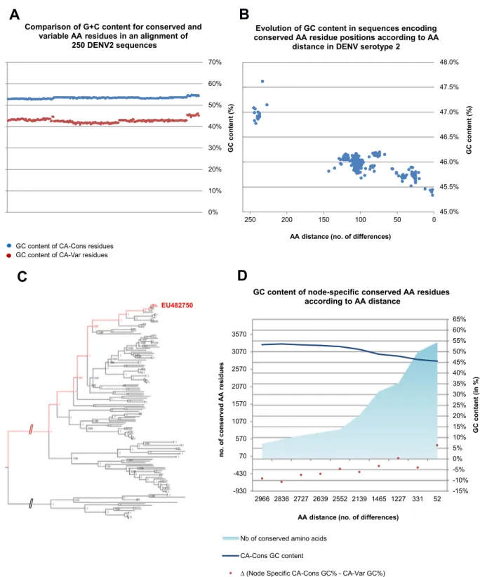 Fig. 2.G + C content of conserved and variable residues and its evolution according to AA distance in dengue virus and the genus Flavivirus