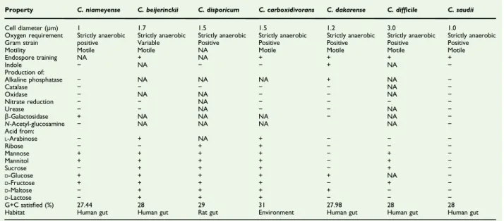 TABLE 1. Differential characteristics of Clostridium niameyense, C. beijerinckii strain NCIMB 8052, C