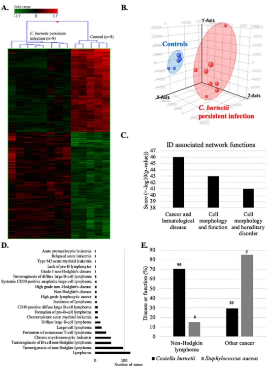 Fig 2. Transcriptional profile of patients with C. burneti persistent infection links to lymphoma