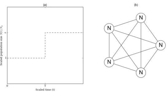 Figure 1: Demographic models. (a): Single step population size change (SSPSC) model.